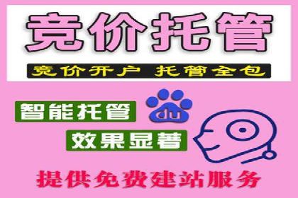 解析SEM外包公司如何利用数据分析优化广告效果